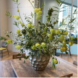 Насіння Гомфокарпус Повітряна куля (Zip-пакет 10 нас.) опис, характеристики, відгуки