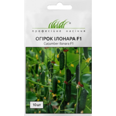 Семена огурец Илонара самоопыляемый двусезонный (10 семян)