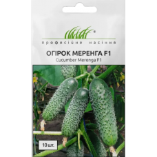 Насіння огірок Меренга F1 самозапильний (10 насінин)