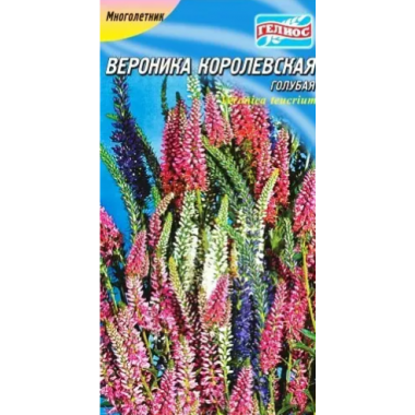 Насіння вероніка Королівська блакитна (0,1г) опис, характеристики, відгуки