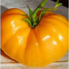 Насіння томат Ананасний (США) високорослий янтарно-жовтий 120-200г (20 насінин)