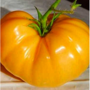 Насіння томат Ананасний (США) високорослий янтарно-жовтий 120-200г (20 насінин) опис, характеристики, відгуки