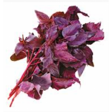 Насіння базилік Червоний рубін (Zip-пакет 0,3г) опис, характеристики, відгуки