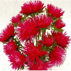 Насіння айстра Валькірія скарлет (Zip-пакет 0,1г)