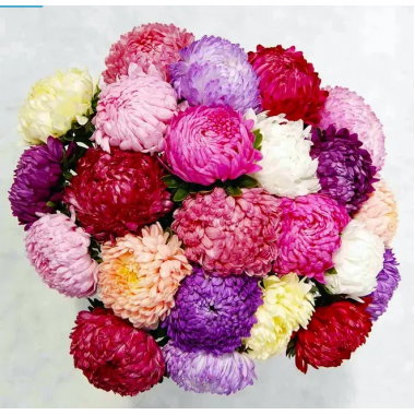 Насіння айстра Тауер піоновидна суміш (Zip-пакет 0,1г) опис, характеристики, відгуки