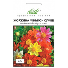 Семена георгина Миньон смесь (0,2г)