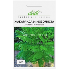 Семена жакаранда Мимозолистная (0,8г)