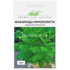Насіння жакаранда Мімозолистна (0,8г)