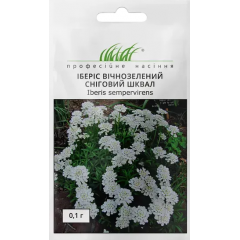 Семена иберис вечнозеленый Снежный шквал (0,1г)