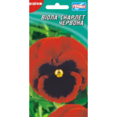 Семена виола двухлетняя Скарлет (30 сем.)