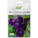 Насіння азаріна фіолетова (10 нас.) опис, характеристики, відгуки