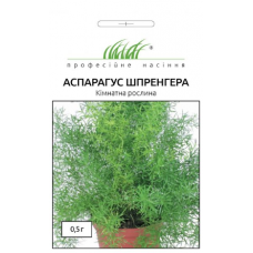 Семена аспарагус Шпренгера (0,1г)