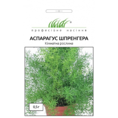 Насіння аспарагус  Шпренгера (0,1г)