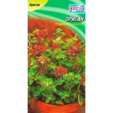 Насіння орегано (200 нас.) опис, характеристики, відгуки