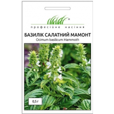 Семена базилик Мамонт салатный (0,5г)
