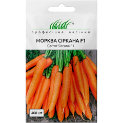 Насіння морква Сіркана пізня (400 насінин)