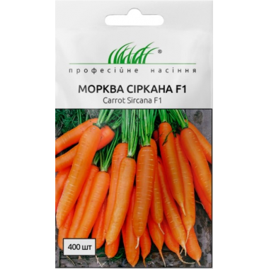 Насіння морква Сіркана пізня (400 насінин) опис, характеристики, відгуки