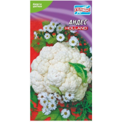 Семена капуста цветная Андес (100 семян)