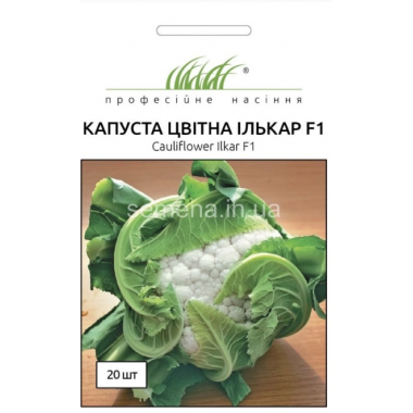 Семена капуста цветная Илькар F1 (20 семян) описание, отзывы, характеристики