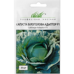 Насіння капуста білокачанна середньопізня Адаптор (20 насінин)