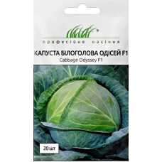 Семена капуста белокочанная среднепоздняя Одиссей (20 семян)
