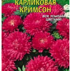 Семена астра низкорослая Классик Кримсон (0,25г)