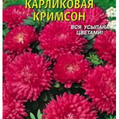 Семена астра низкорослая Классик Кримсон (0,25г)