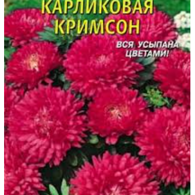 Семена астра низкорослая Классик Кримсон (0,25г) описание, отзывы, характеристики