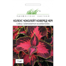 Семена колеус Премиум Сан чоколет коверед черри (5 сем. драж.)
