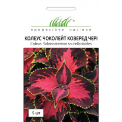 Семена колеус Премиум Сан чоколет коверед черри (5 сем. драж.)
