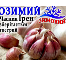 Часник озимий Ірен (8 зубків.)