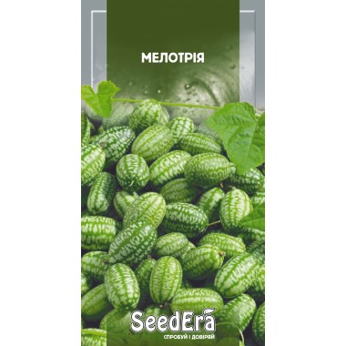 Семена Мелотрия (10 семян) описание, отзывы, характеристики