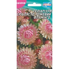 Семена гелихризум Серебристо-розовый Фламинго (0,2г)