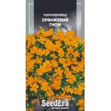 Семена бархатцы низкорослые узколистые Оранжевый гном (0,1г) описание, отзывы, характеристики