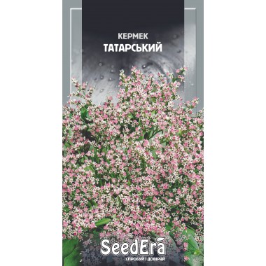 Семена кермек (лимониум) Татарский многолетний (0,1г) описание, отзывы, характеристики