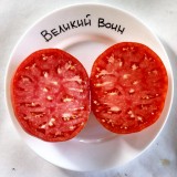 Семена томат Великий воин (25 семян) описание, отзывы, характеристики