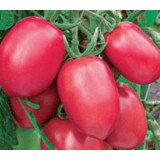 Семена томат Де барао розовый (20 семян) описание, отзывы, характеристики