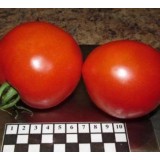 Семена томат Императорский (20 семян) описание, отзывы, характеристики