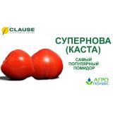 Семена томат Каста F1 (10 семян) описание, отзывы, характеристики