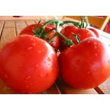 Семена томат Полбиг F1 (0,05г) описание, отзывы, характеристики