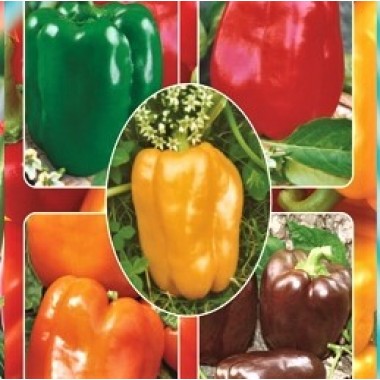 Семена перец Цветные кубики сладкий, смесь (30 семян) описание, отзывы, характеристики