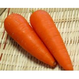 Насіння морква Оленка (2г) опис, характеристики, відгуки