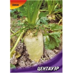 Семена свекла кормовая Центауэр (Польша) (100г)
