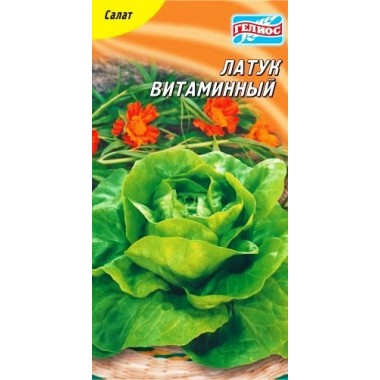 Насіння салат Латук вітамінний качанний (1000 насінин) опис, характеристики, відгуки