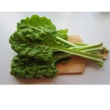 Семена салат Мангольд зеленый (1г) описание, отзывы, характеристики