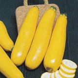 Семена кабачок Свитозар желтый (3г) описание, отзывы, характеристики