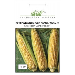 Насіння кукурудза Камберленд F1 цукрова біколор (15 насінин)