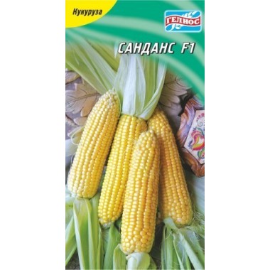Насіння кукурудза Санданс F1 цукрова (10 насінин) опис, характеристики, відгуки