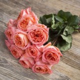 Троянда англійська Rene Goscinny опис, характеристики, відгуки