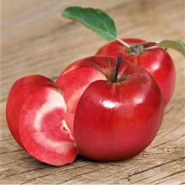 Яблуня червоном’яса Джероміні (1 саджанець) опис, характеристики, відгуки